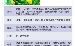 黄瓜栽培管理技术要点有哪些？
