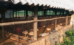 东北冬季发酵床养鸡，温度低咋发酵？