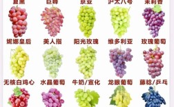 葡萄品种名称有哪些？