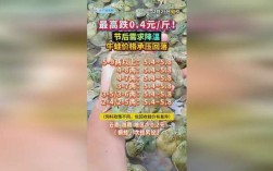 今天牛蛙价格最新行情