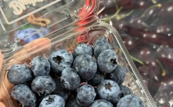 北方适合种什么好吃蓝莓品种？