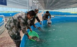 200亩水库养鱼，高产技术怎么搞？