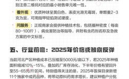 半夏价格现在多少钱？