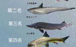 名贵淡水鱼品种有哪些？