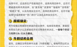 肉牛饲养管理技术核心要点有哪些？
