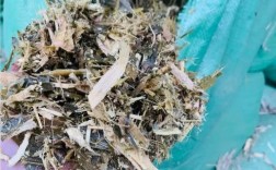 玉米秸秆饲料发酵技术