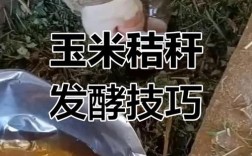 小型秸秆发酵技术视频怎么做？