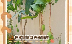 如何实现芒果高产？栽培技术要点有哪些？