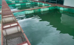 南宁为何禁止网箱养殖技术？