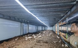 室内蘑菇养殖视频，技术要点有哪些？