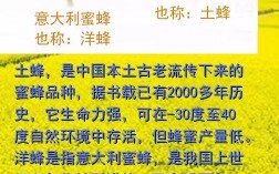 中华蜜蜂到底有几个品种？