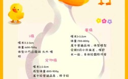 肉鸭养殖技术与配方如何高效应用？