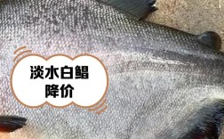 耐低温淡水白鲳品种如何培育？