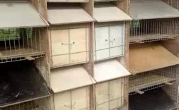 山东獭兔价格最新走势如何？