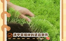 中草药种植技术app