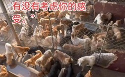 养遍所有肉肉，才算拥有完整春天吗？