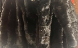 东北貂皮价格现在行情怎么样？