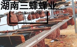 胡蜂蜂王如何安全越冬？