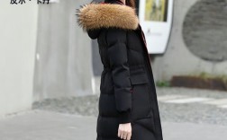 2025年貉子价格会涨还是跌？