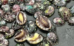 东山鲍鱼苗现价多少？