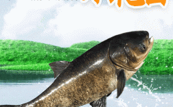 微流水如何养花鲢高产？