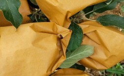 正确苹果套袋技术视频