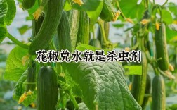 青菜种植技术视频，新手能快速学会吗？