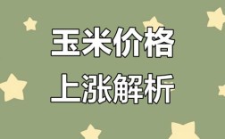 河南玉米价格最新行情如何？