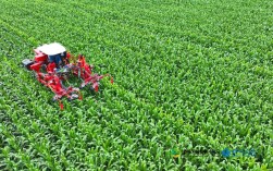 水稻玉米种植技术视频