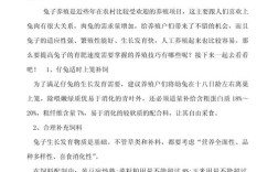 育肥兔养殖技术与管理关键点有哪些？