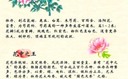 牡丹品种繁多，各有何独特魅力？