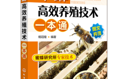 中华蜜蜂养殖技术要点有哪些？