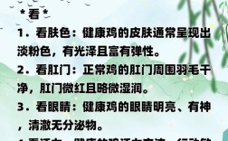 养鸡技术大全全文阅读，哪里能找到？