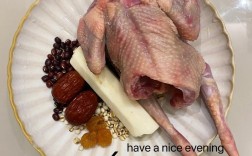 哪种鸽子品种术后最补？