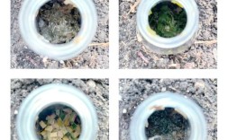 蝇蛆蚯蚓养殖技术如何高效利用？