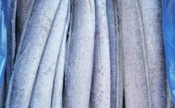 哪种冷带鱼最好养又易活？