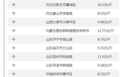 今日全国羊肉价格多少钱一斤？