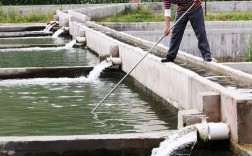 河道养鱼水产养殖技术有哪些关键要点？