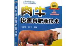 肉牛养殖技术和饲料配方