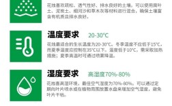 花烛养殖技术培训课件要点有哪些？