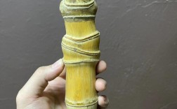 哪里能买到实心竹子品种？