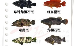 水产养殖主养品种有哪些？