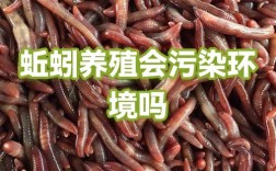 山东蚯蚓养殖加盟技术靠谱吗？