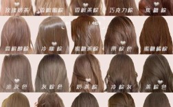 好发品种具体指什么？