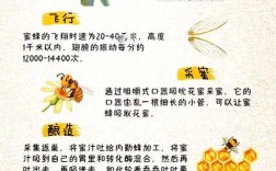 蜜蜂养殖技术资料哪里能下载？