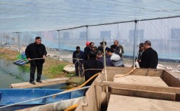 高产黄鳝养殖技术培训