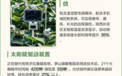 最新大棚青菜种植技术有哪些关键要点？