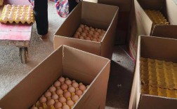 汉中鸡蛋价格现在多少钱一斤？