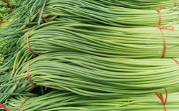 2025粘金乡蒜薹价格