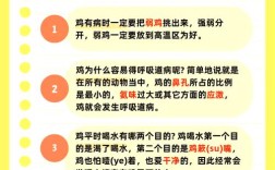 养鸡全套技术方法如何系统掌握？